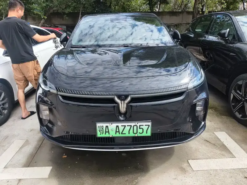VOYAH Zhiyin, 2025
