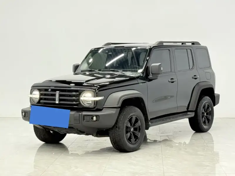 Tank 300, 2021