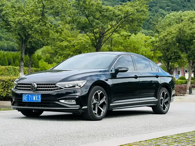 Volkswagen Magotan, 2024
