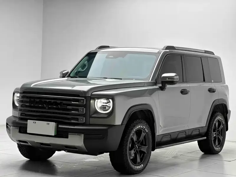 Haval Menglong New Energy, 2025