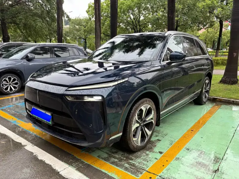 Wey Lanshan, 2024