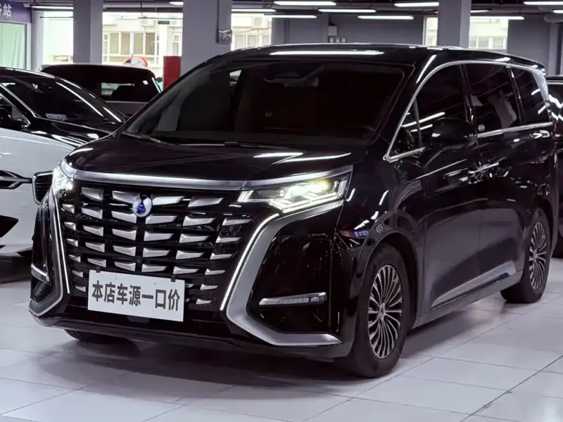 Denza D9, 2024
