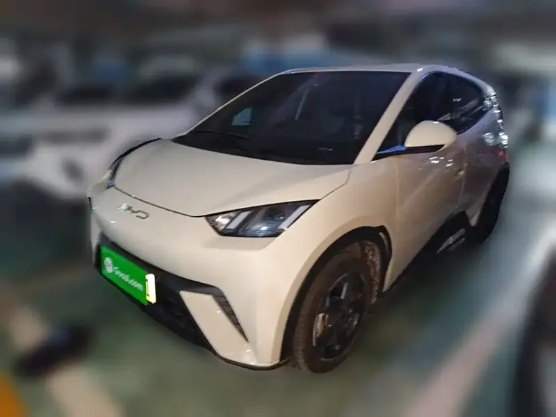 BYD Seagull, 2023