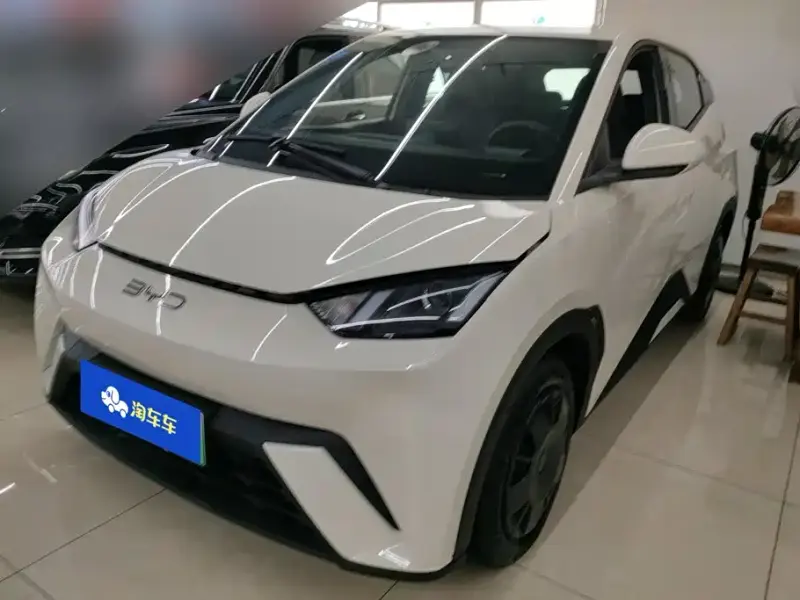 BYD Seagull, 2025