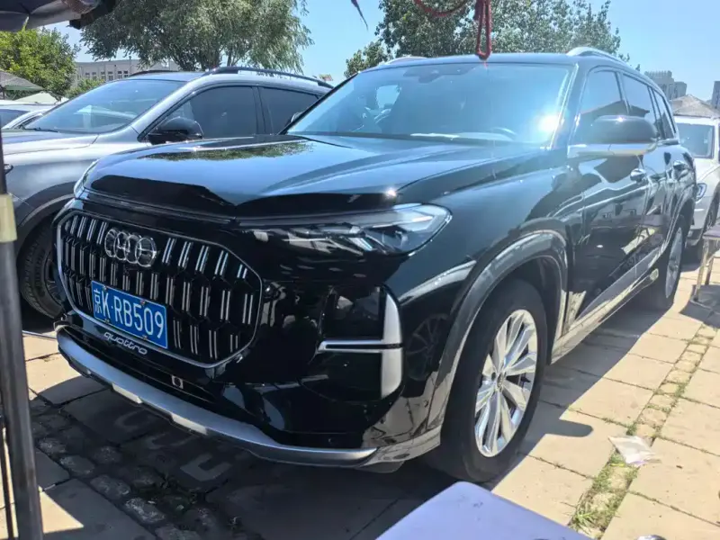 Audi Q6, 2024