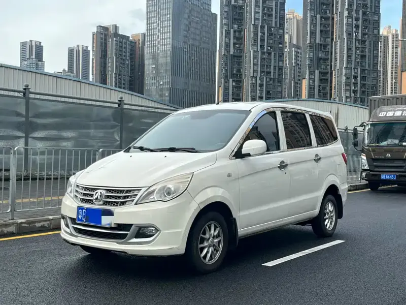 BAW Weiwang M20, 2017