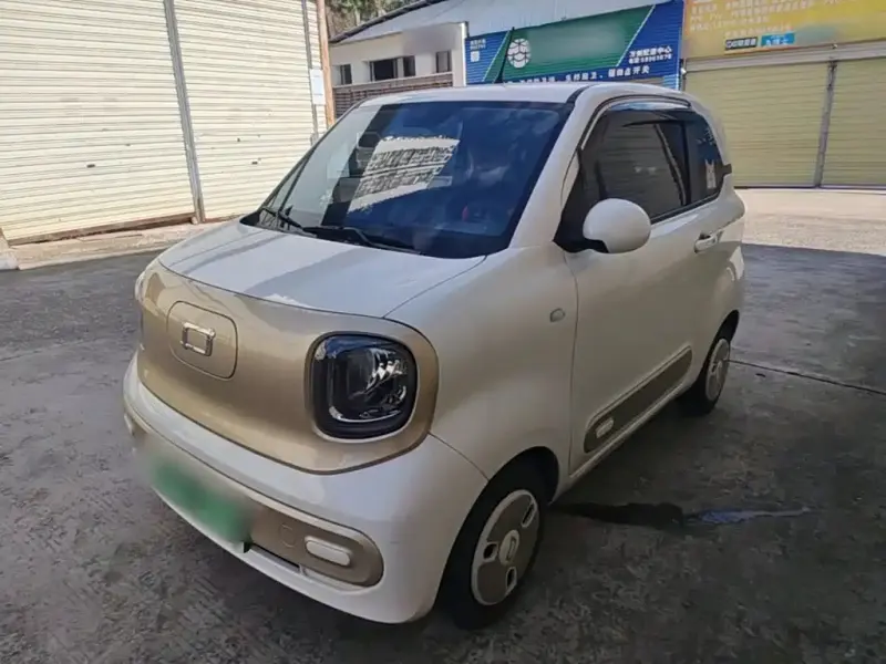 Bestune Pony, 2024