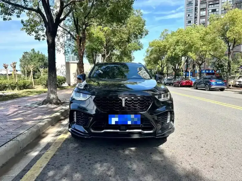 Wey VV5, 2018
