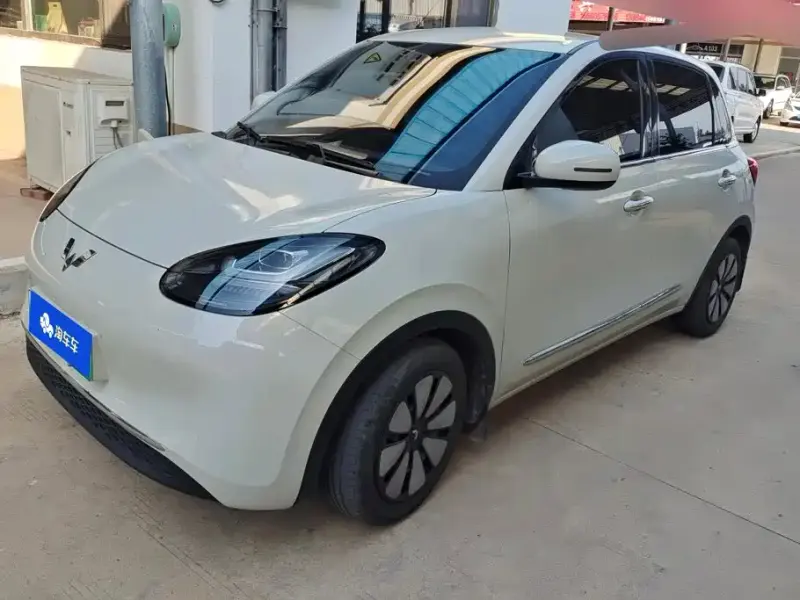 Wuling Bingo, 2024