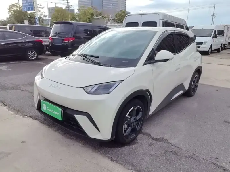 BYD Seagull, 2024
