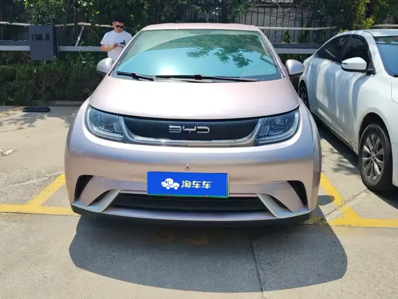 BYD Dolphin, 2022