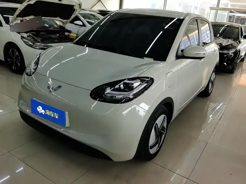 Wuling Bingo, 2024
