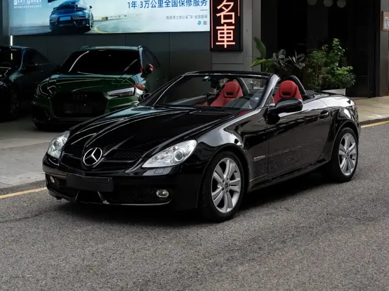 Mercedes-Benz SLK-Class, 2010
