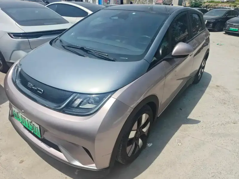 BYD Dolphin, 2022