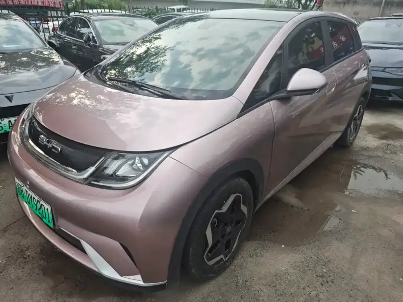 BYD Dolphin, 2022