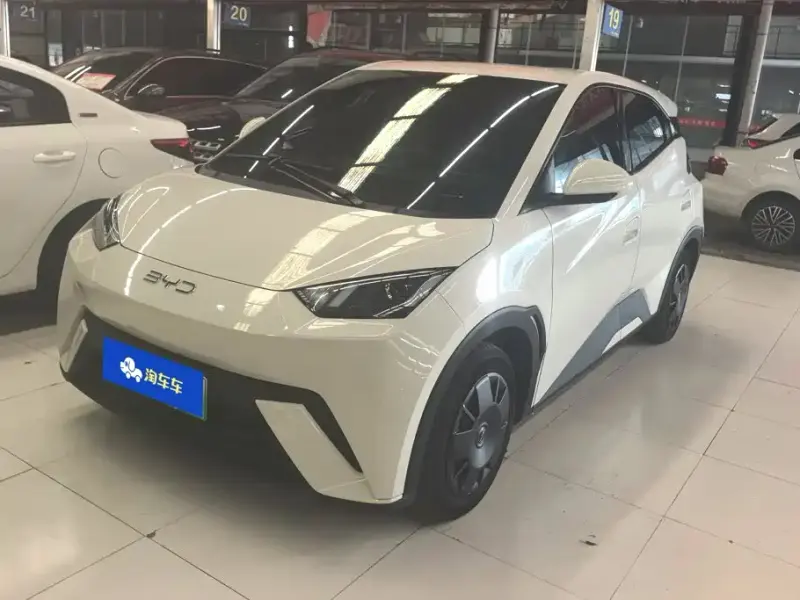 BYD Seagull, 2024