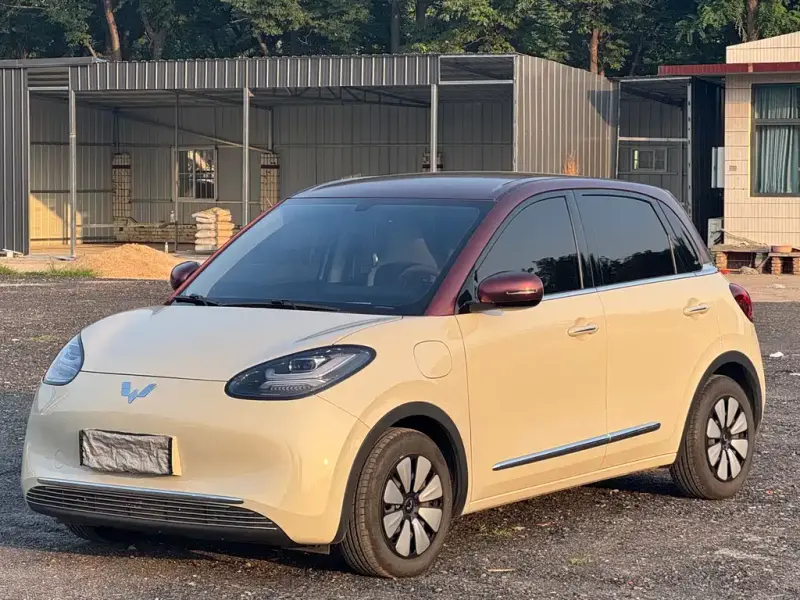 Wuling Bingo, 2025