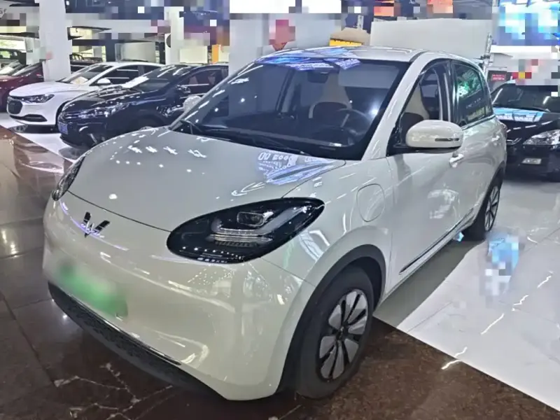 Wuling Bingo, 2024