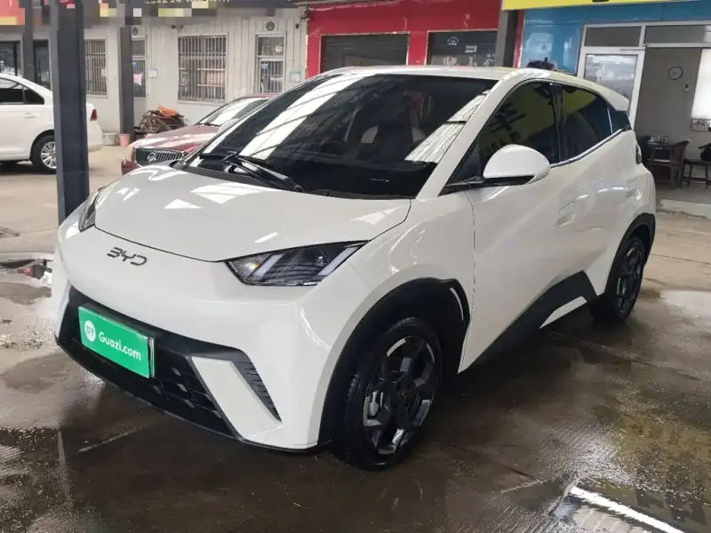BYD Seagull, 2025