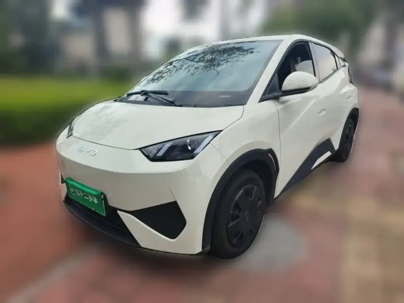 BYD Seagull, 2025