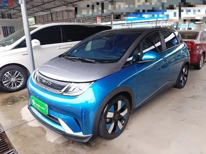 BYD Dolphin, 2021