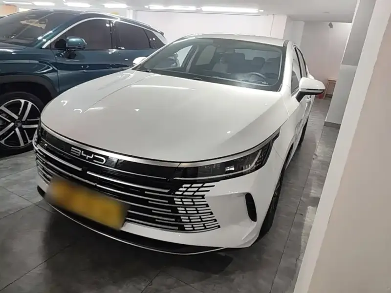 BYD Destroyer 05, 2024