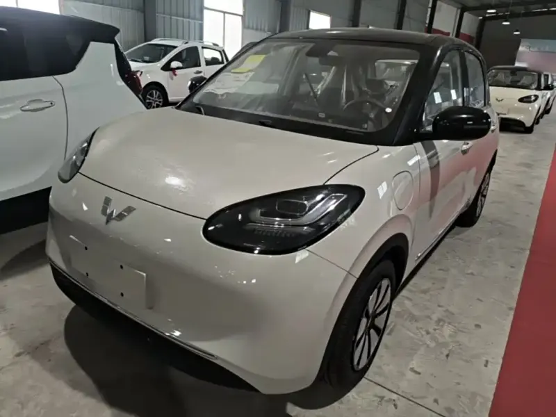 Wuling Bingo, 2026