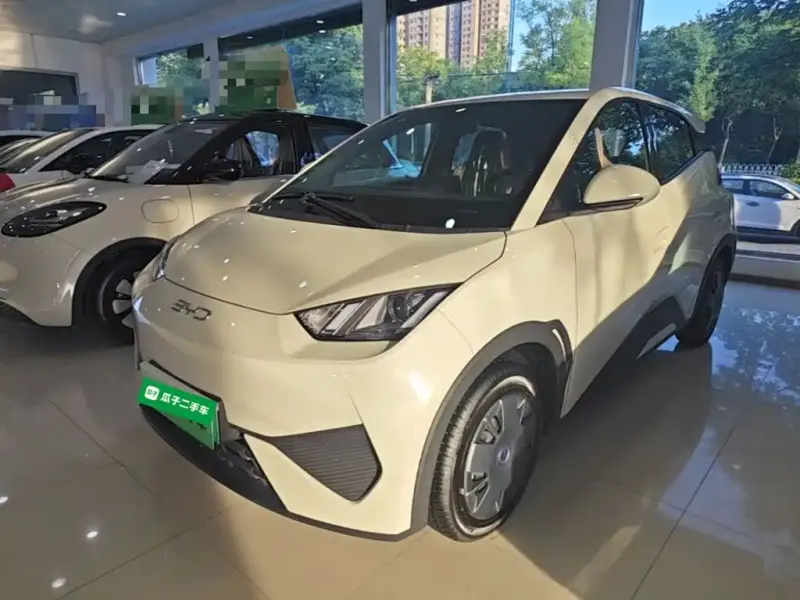 BYD Seagull, 2026