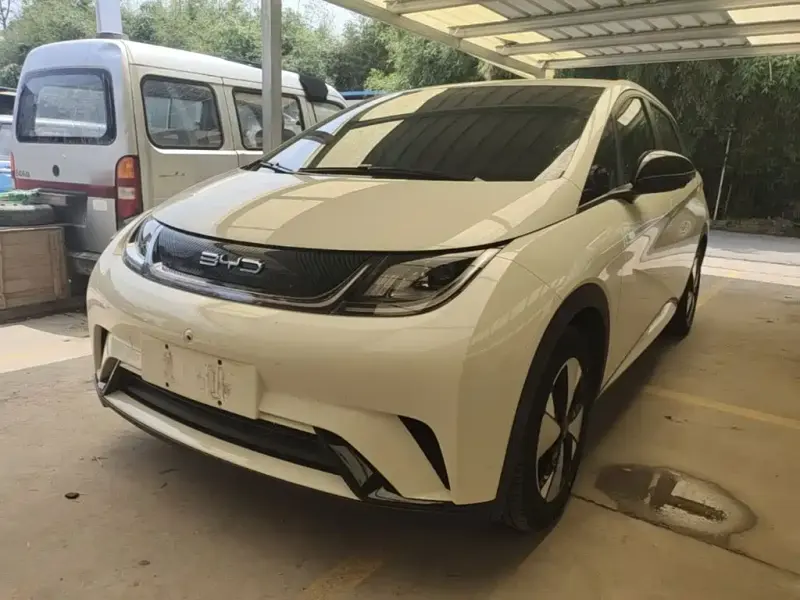 BYD Dolphin, 2024