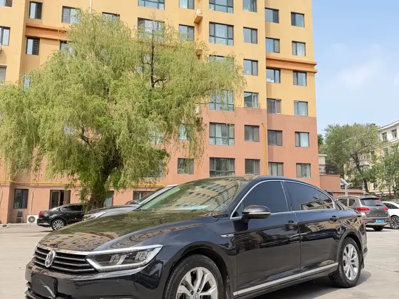 Volkswagen Magotan, 2019