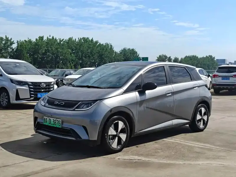 BYD Dolphin, 2024