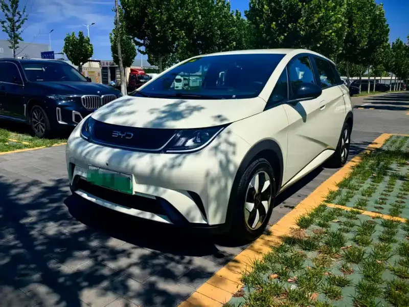 BYD Dolphin, 2026