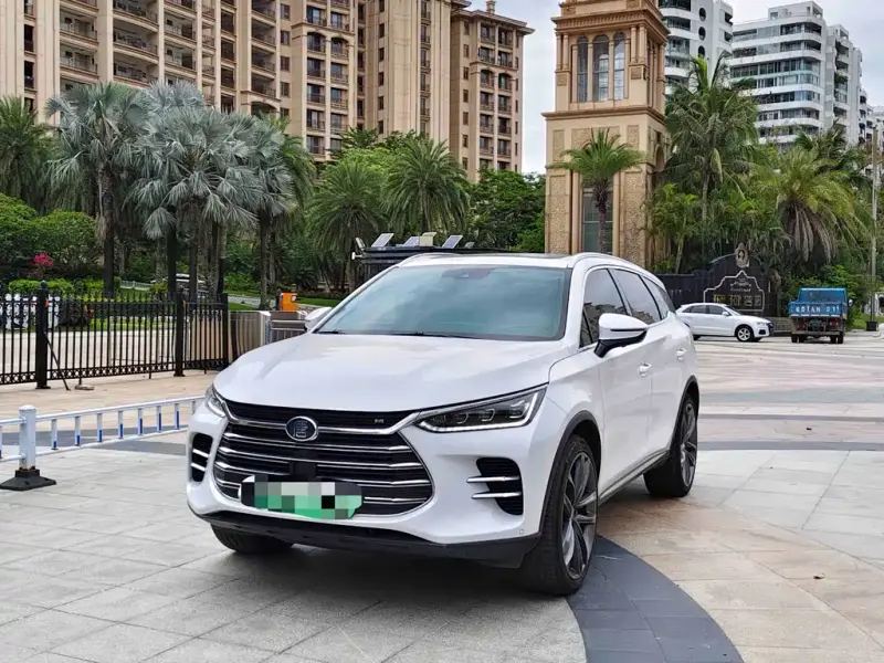 BYD Tang New Energy, 2019