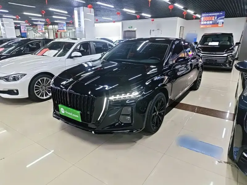 Hongqi H5, 2024