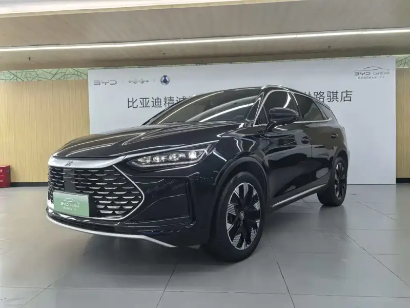 BYD Tang New Energy, 2024