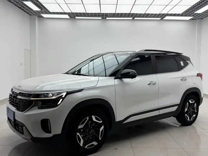 Kia Seltos, 2024