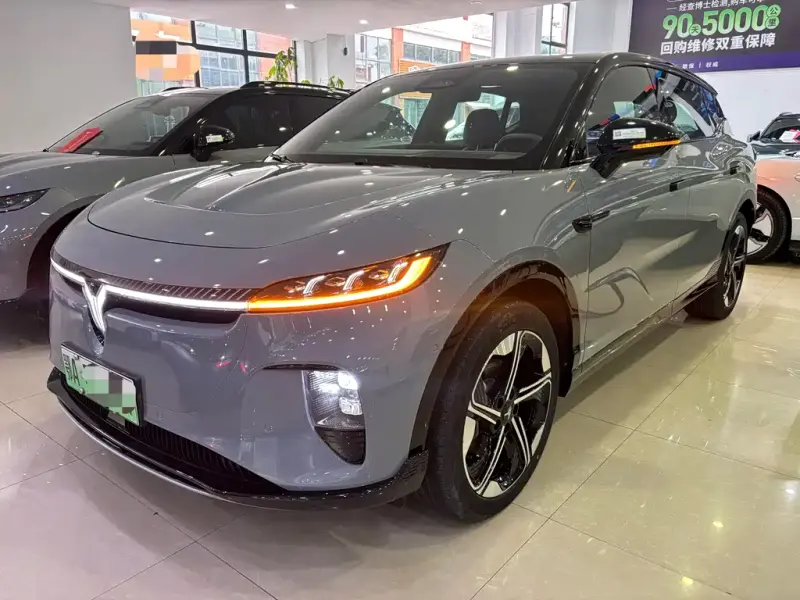 VOYAH Zhiyin, 2025