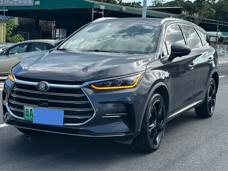 BYD Tang New Energy, 2021