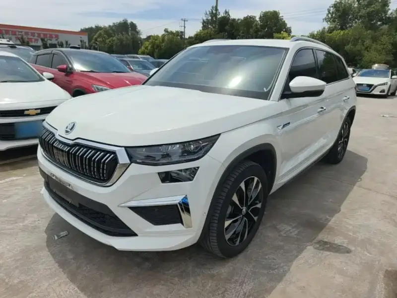 Skoda Kodiaq, 2024