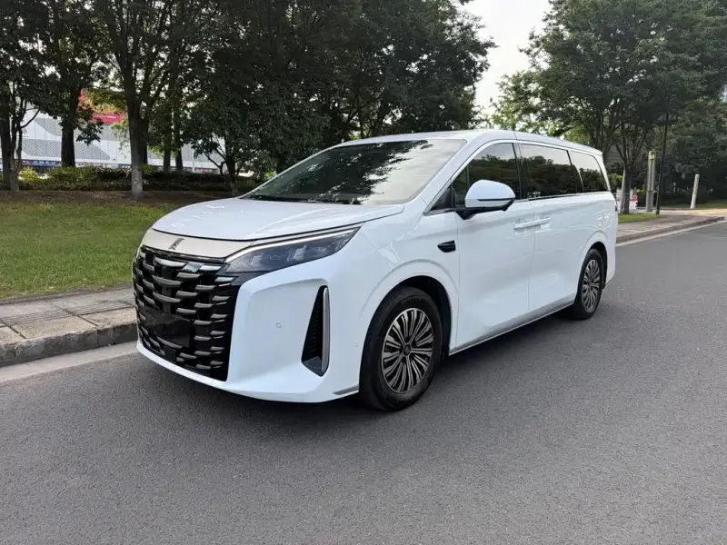 BYD Xia, 2025