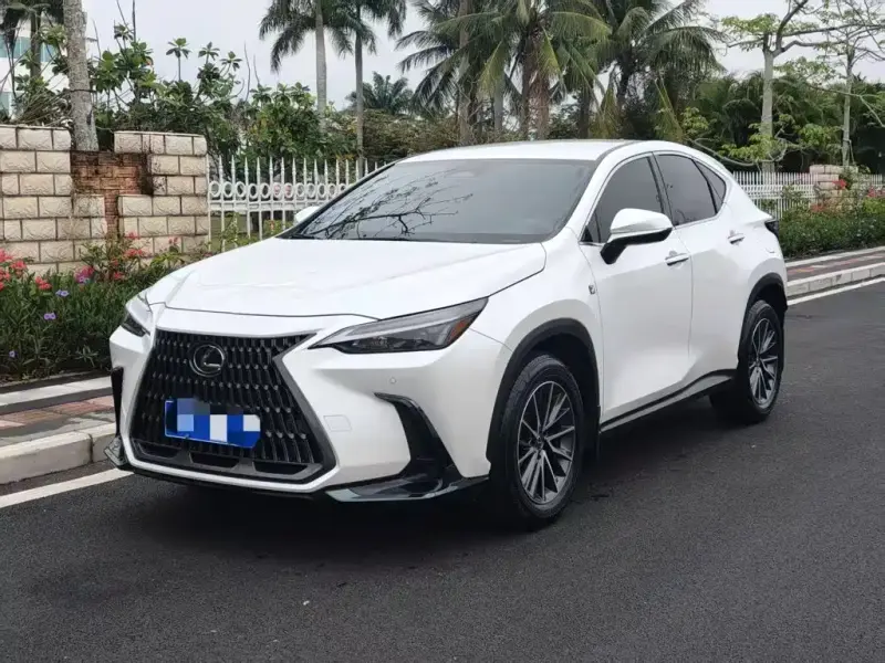 Lexus NX, 2022