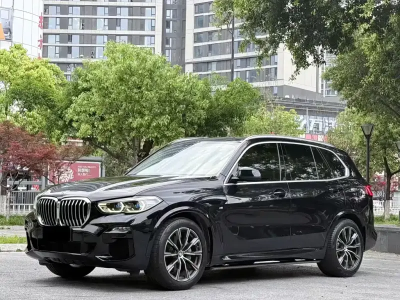 BMW X5 (Import), 2019