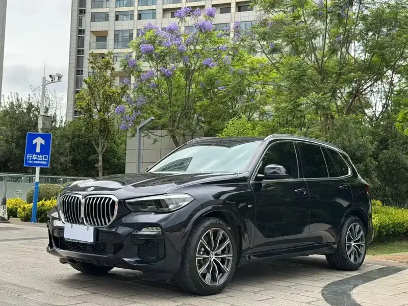 BMW X5 (Import), 2021