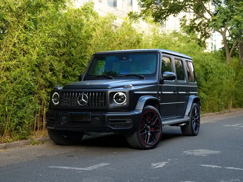 Mercedes-Benz G-Class AMG, 2019