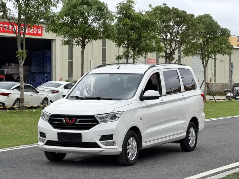 Wuling Hongguang, 2024