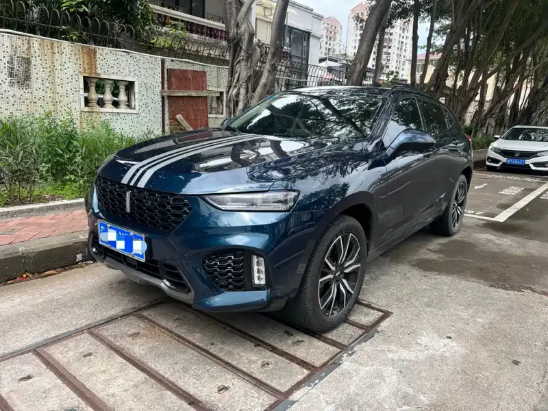 Wey VV7, 2019