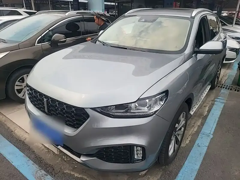 Wey VV6, 2019