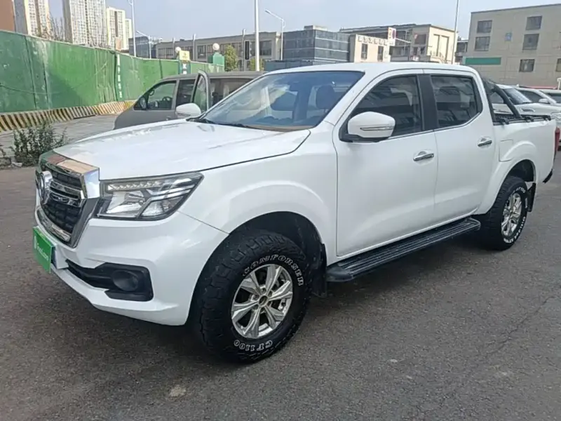 Dongfeng Rich 6, 2019