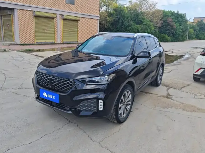 Wey VV6, 2020