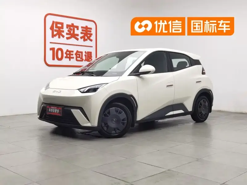 BYD Seagull, 2024